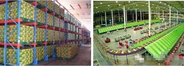 電商物流VS傳統(tǒng)物流,誰更勝一籌?